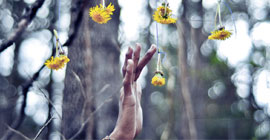 hand touching flowers