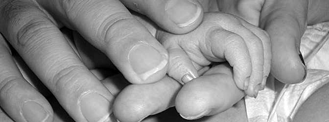 adult hands wrapping around infant hands - in black and white photo