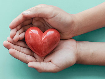 heart in hands