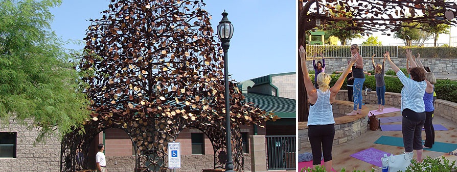 Healing Tree and stretching class